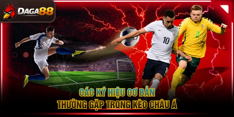 Các ký hiệu cơ bản thường gặp trong kèo châu Á