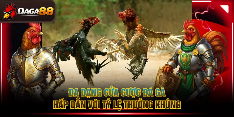 Đa dạng cửa cược đá gà hấp dẫn với tỷ lệ thưởng khủng
