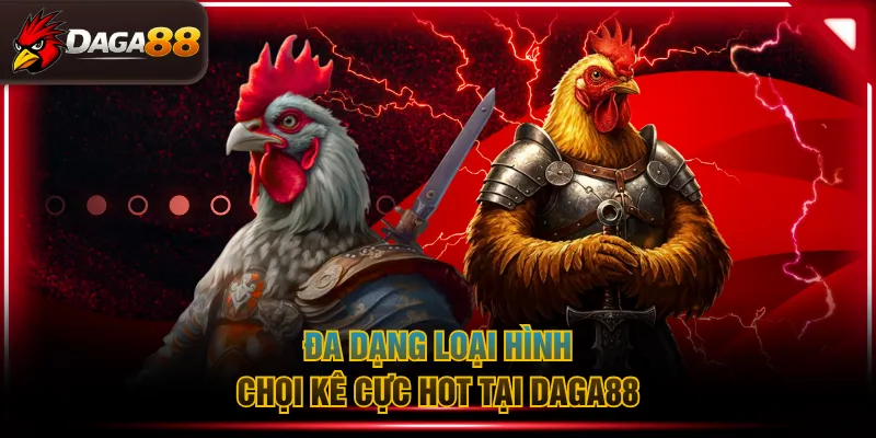 Đa dạng loại hình chọi kê cực hot tại DAGA88