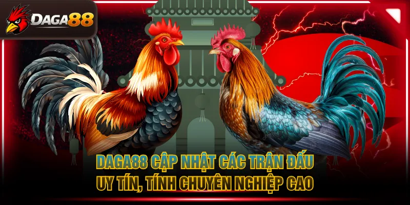 DAGA88 cập nhật các trận đấu uy tín, tính chuyên nghiệp cao