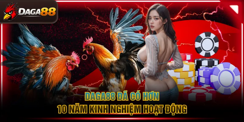 DAGA88 đã có hơn 10 năm kinh nghiệm hoạt động