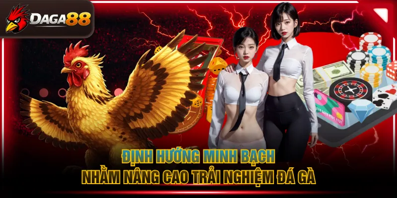 Định hướng minh bạch nhằm nâng cao trải nghiệm đá gà